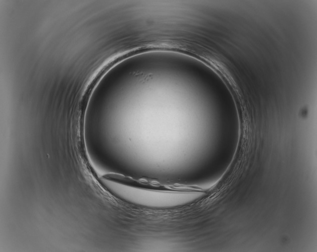 X0000116341000200912151324