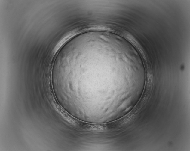 X0000116341002200912151324