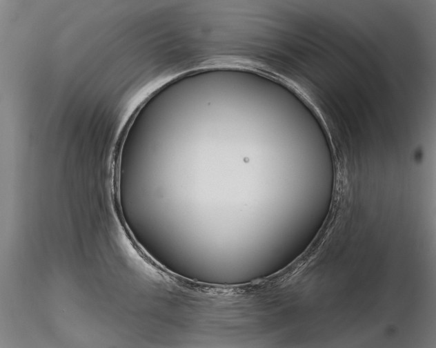 X0000116341003200912151324