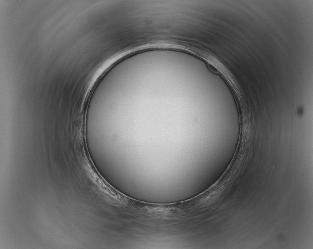 X0000116341004200912151324