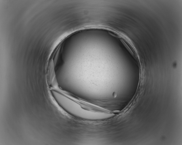 X0000116341005200912151324