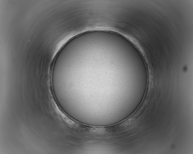 X0000116341006200912151324