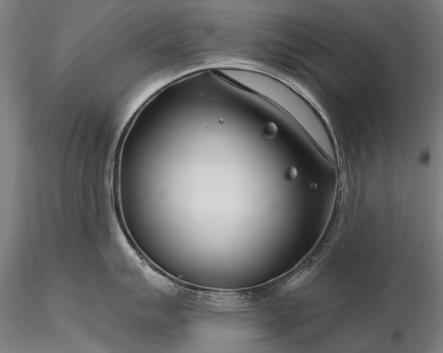 X0000116341007200912151324