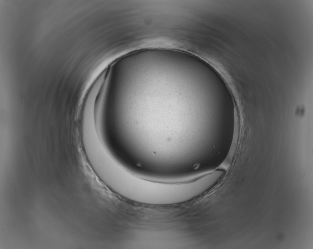 X0000116341008200912151324