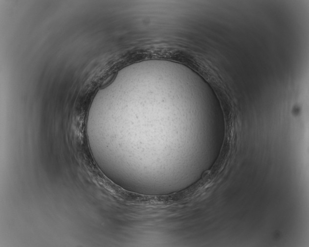 X0000116341010200912151323