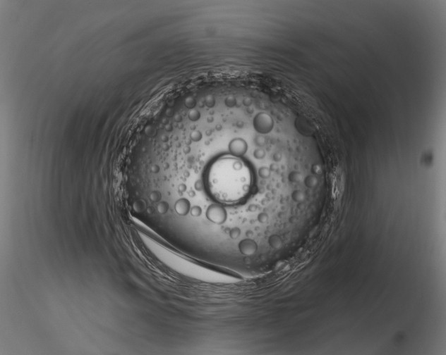 X0000116341011200912151323