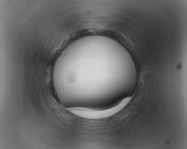 X0000116341012200912151323