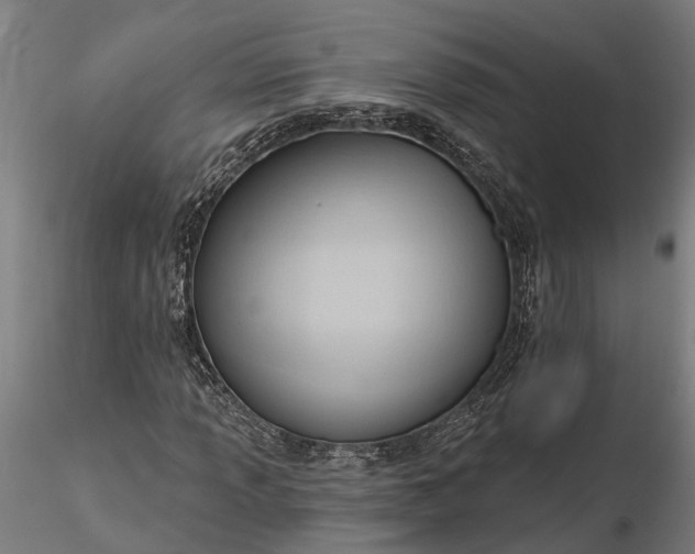 X0000116341013200912151323