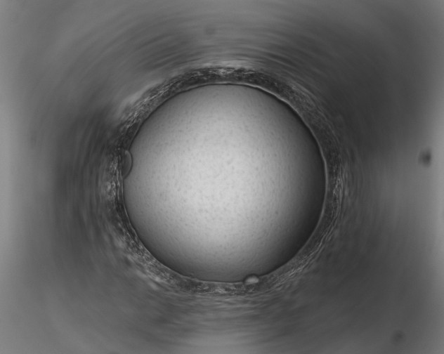 X0000116341014200912151323