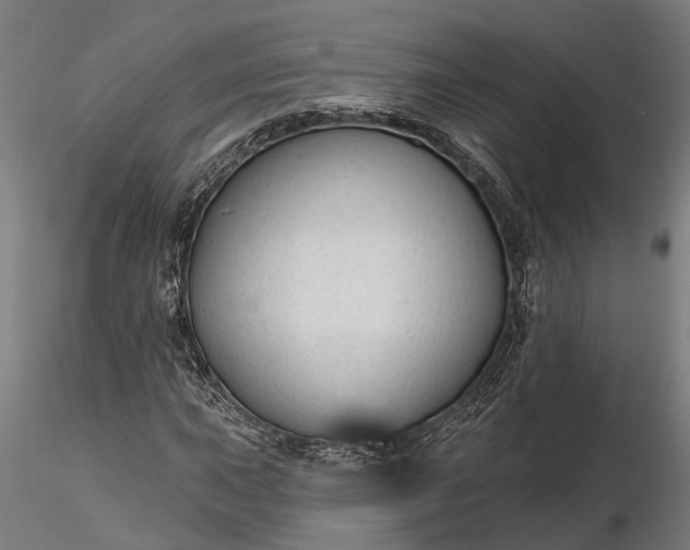 X0000116341015200912151323