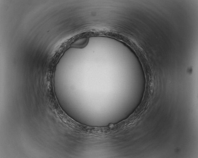 X0000116341016200912151323