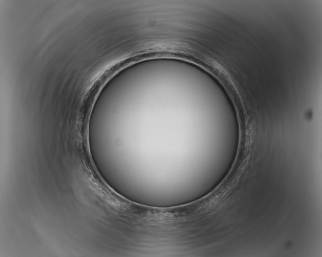 X0000116341019200912151323