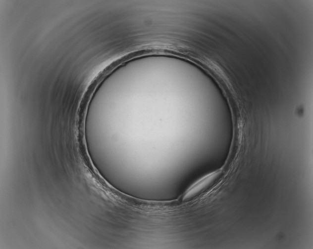 X0000116341020200912151323