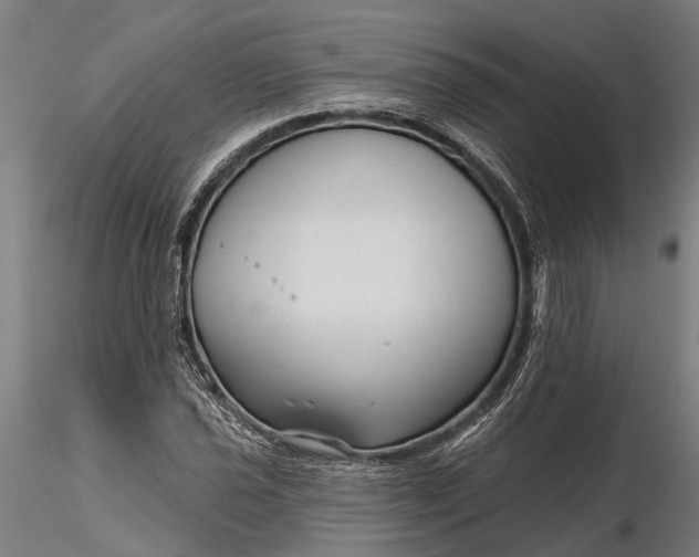 X0000116341021200912151323