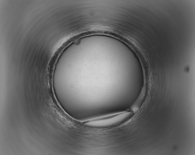 X0000116341022200912151323