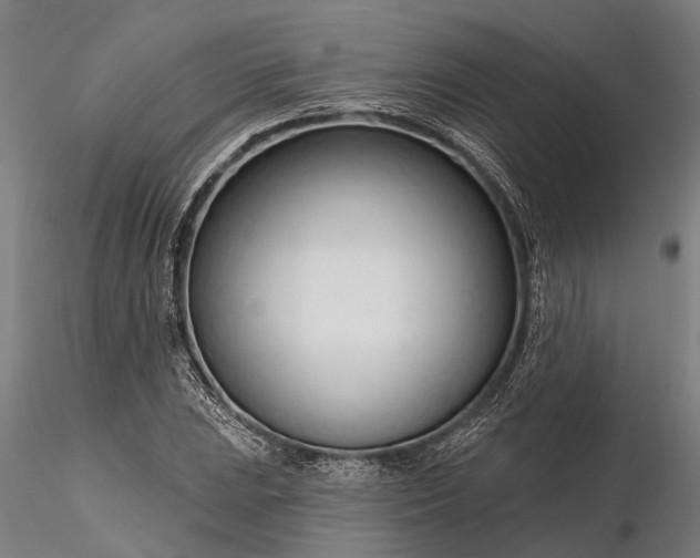 X0000116341023200912151323