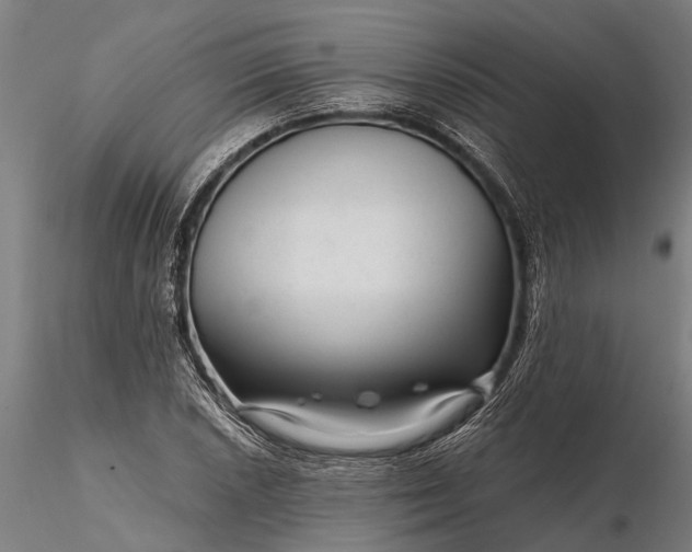 X0000116341026200912151323