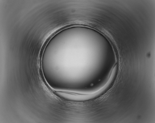 X0000116341028200912151323