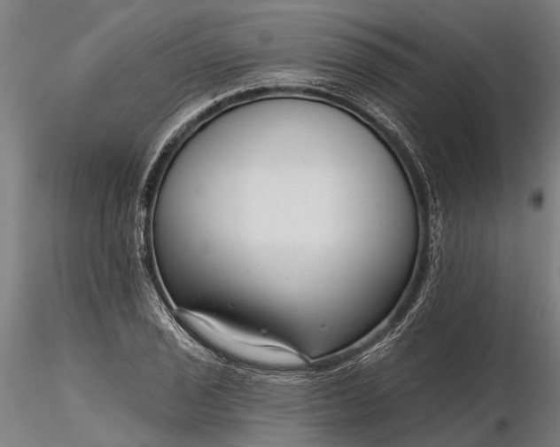 X0000116341029200912151323