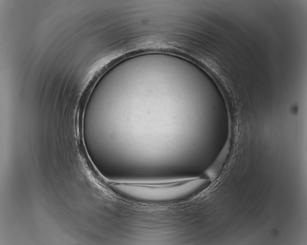 X0000116341030200912151323