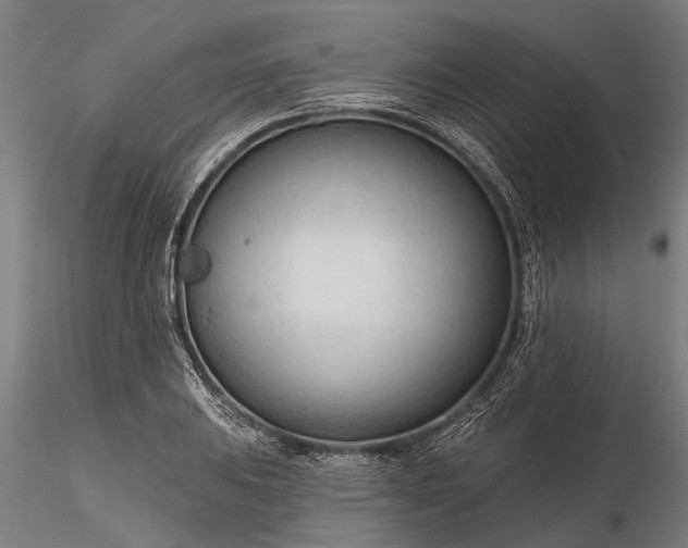 X0000116341031200912151323