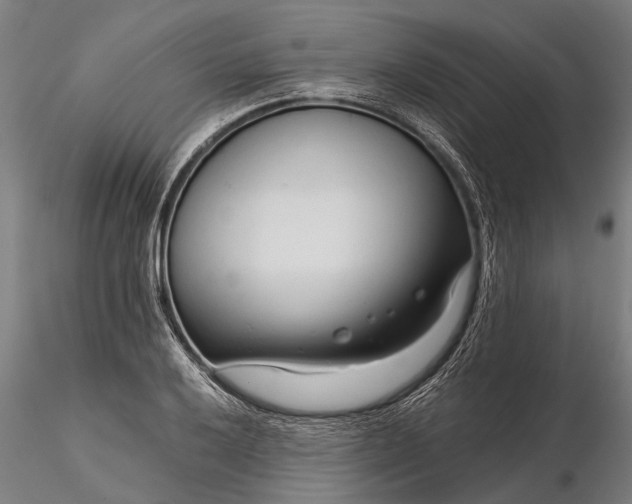 X0000116341032200912151323