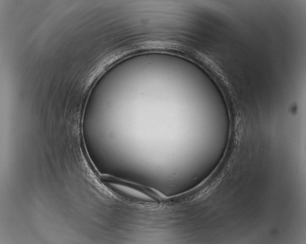 X0000116341033200912151323