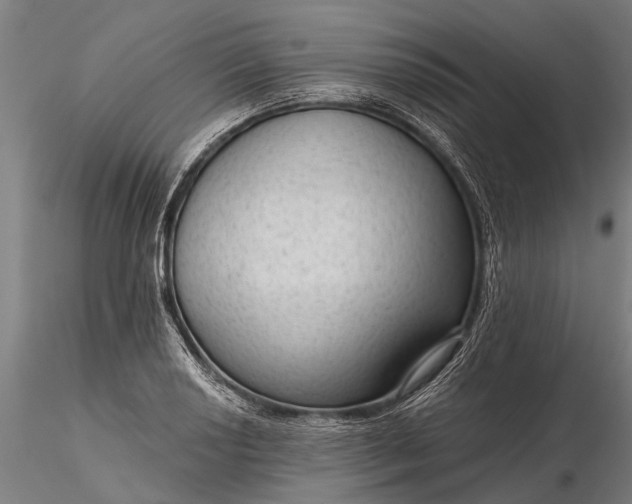 X0000116341034200912151323