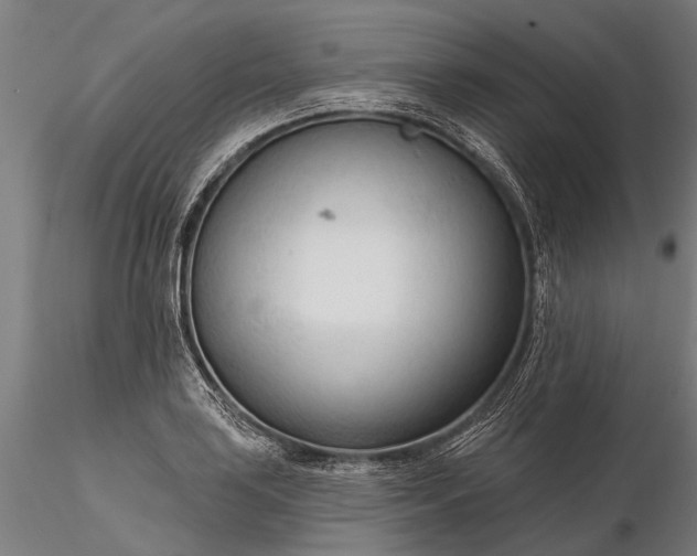 X0000116341035200912151323