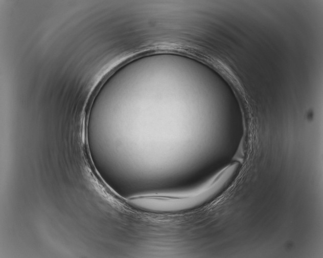 X0000116341036200912151323