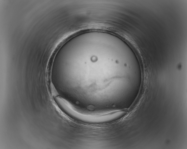 X0000116341037200912151323