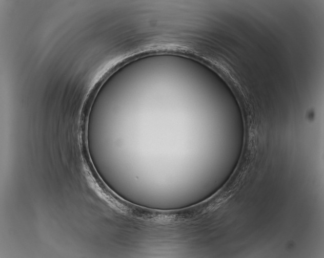 X0000116341038200912151323