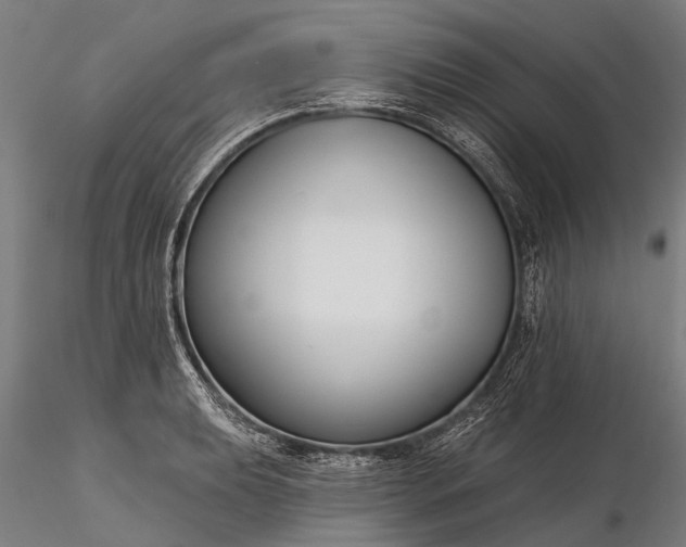 X0000116341039200912151323