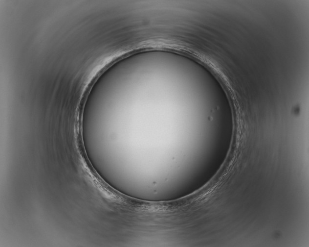 X0000116341040200912151323