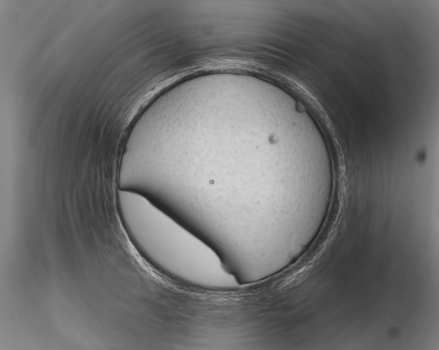 X0000116341041200912151323