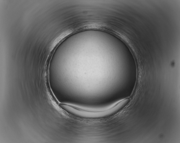 X0000116341042200912151323