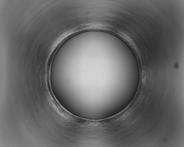 X0000116341043200912151323