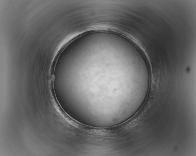 X0000116341045200912151323