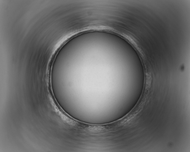 X0000116341046200912151323