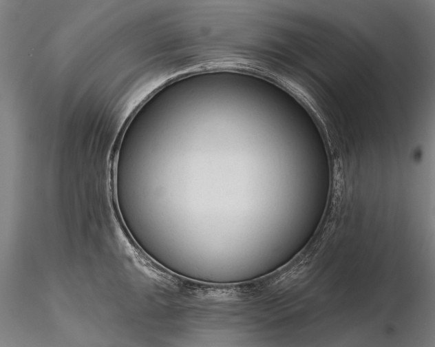 X0000116341047200912151323