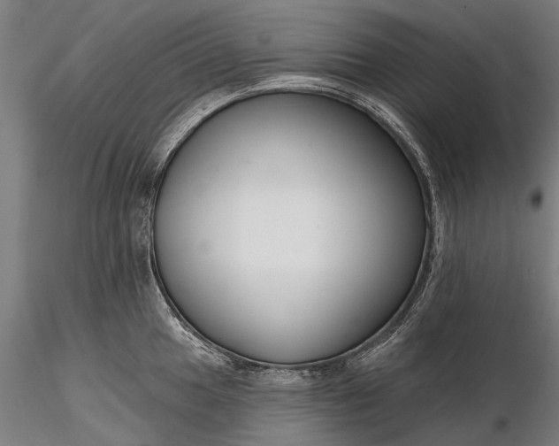 X0000116341049200912151324