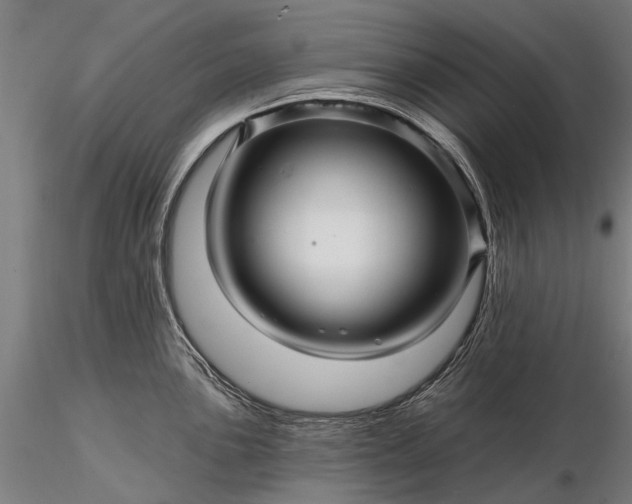 X0000116341051200912151324