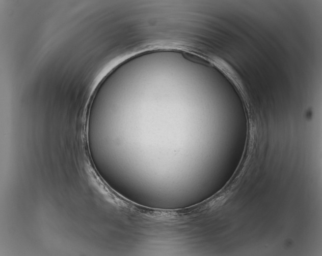 X0000116341052200912151324