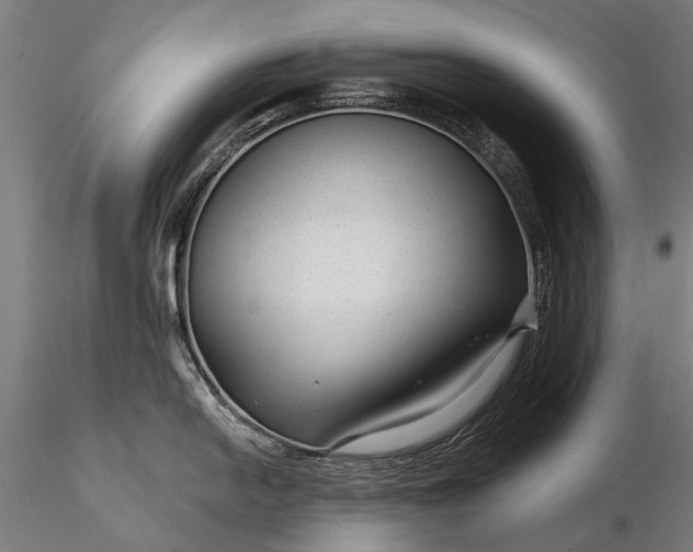 X0000116341054200912151324