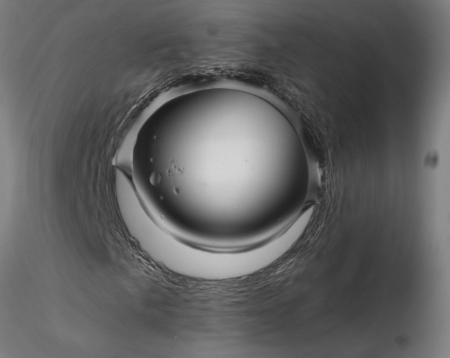 X0000116341057200912151323