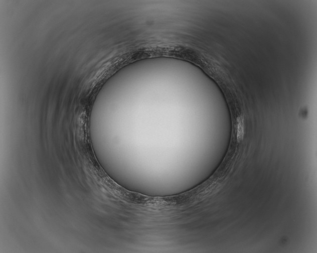 X0000116341059200912151323