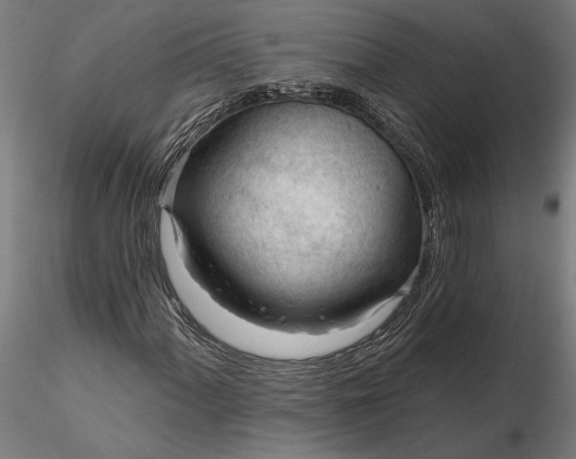 X0000116341060200912151323