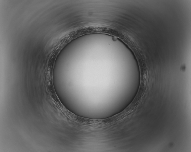 X0000116341062200912151323