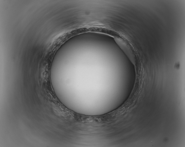 X0000116341063200912151323