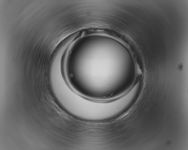 X0000116341065200912151323